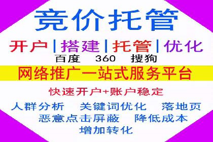 sem代运营公司成功案例：提升网站流量与转化率